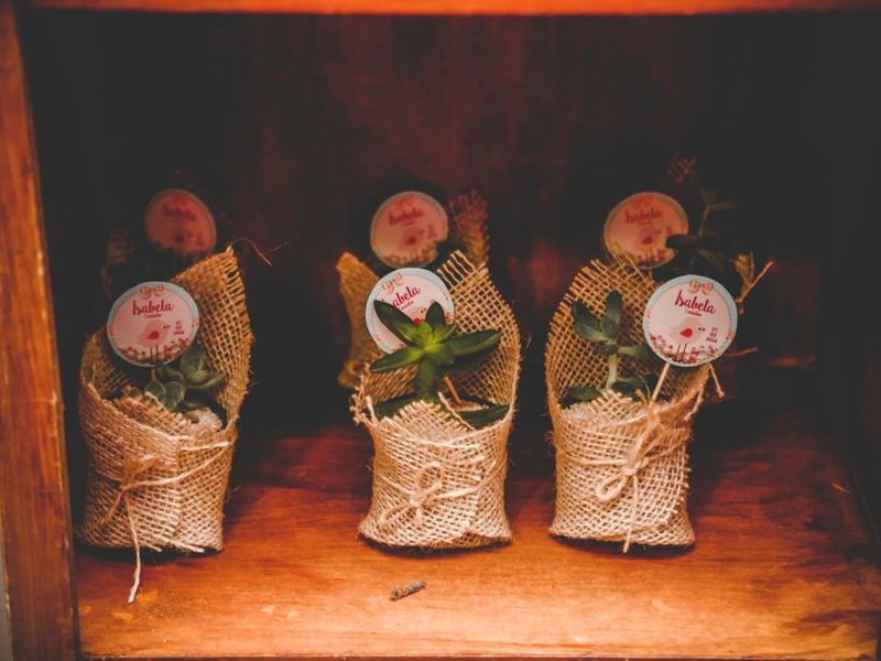 Tres plantitas envueltas en arpillera para regalo